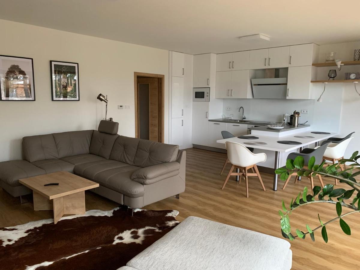 Lipno Port Apartment C101 ليبنو ناد فلتافو المظهر الخارجي الصورة